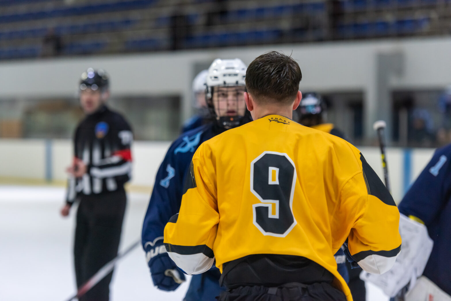 05.03.2025 МХЛ Крижинка-Кепіталз – Білий Барс