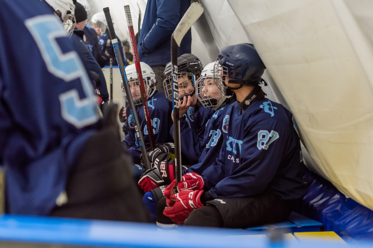 17.03.2025 Крижинка-Кепіталз – Шершні