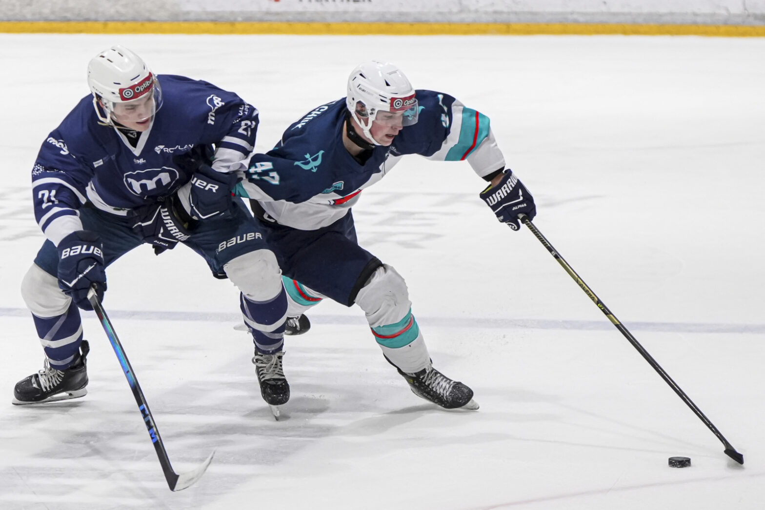 «Київ Кепіталз» зазнали найбільшої поразки в Оптібет лізі